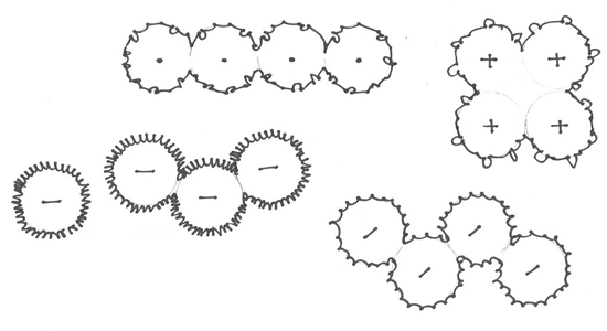 Diagram of different groupings of plants, described in caption.