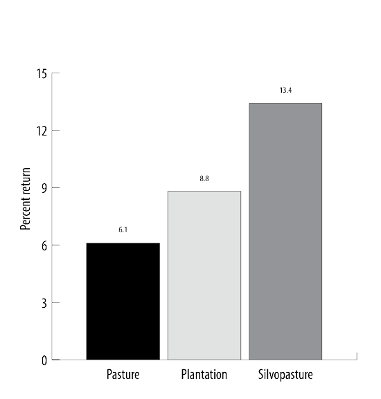 The internal rate of return for various other management options: Pasture is 6.1; plantation is 8.8; and silvopasture is 13.4. 