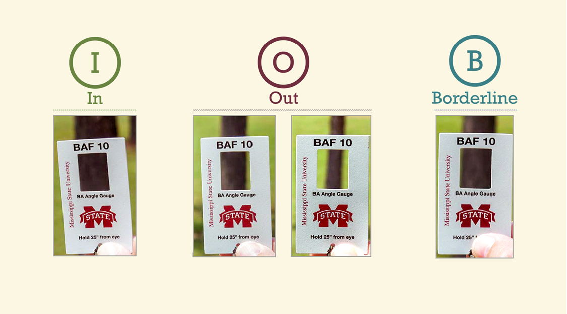 Examples showing when a tree is in, out, or borderline.