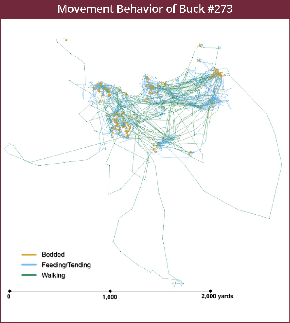Aerial map showing the movement pattern of a buck from October 1 to December 9. The map shows concentrated areas where the buck focused his time, and other areas where he spent little time. 