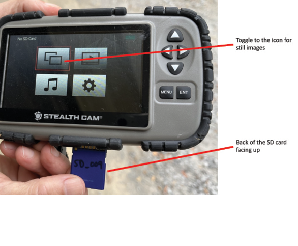 A closeup of hands holding a gray Stealth Cam. An icon with two rectangles is highlighted indicating to toggle to the icon for still images. One hand pulls out a blue SD card with the back of the card facing up. “SD_009” is written on the card in black marker.