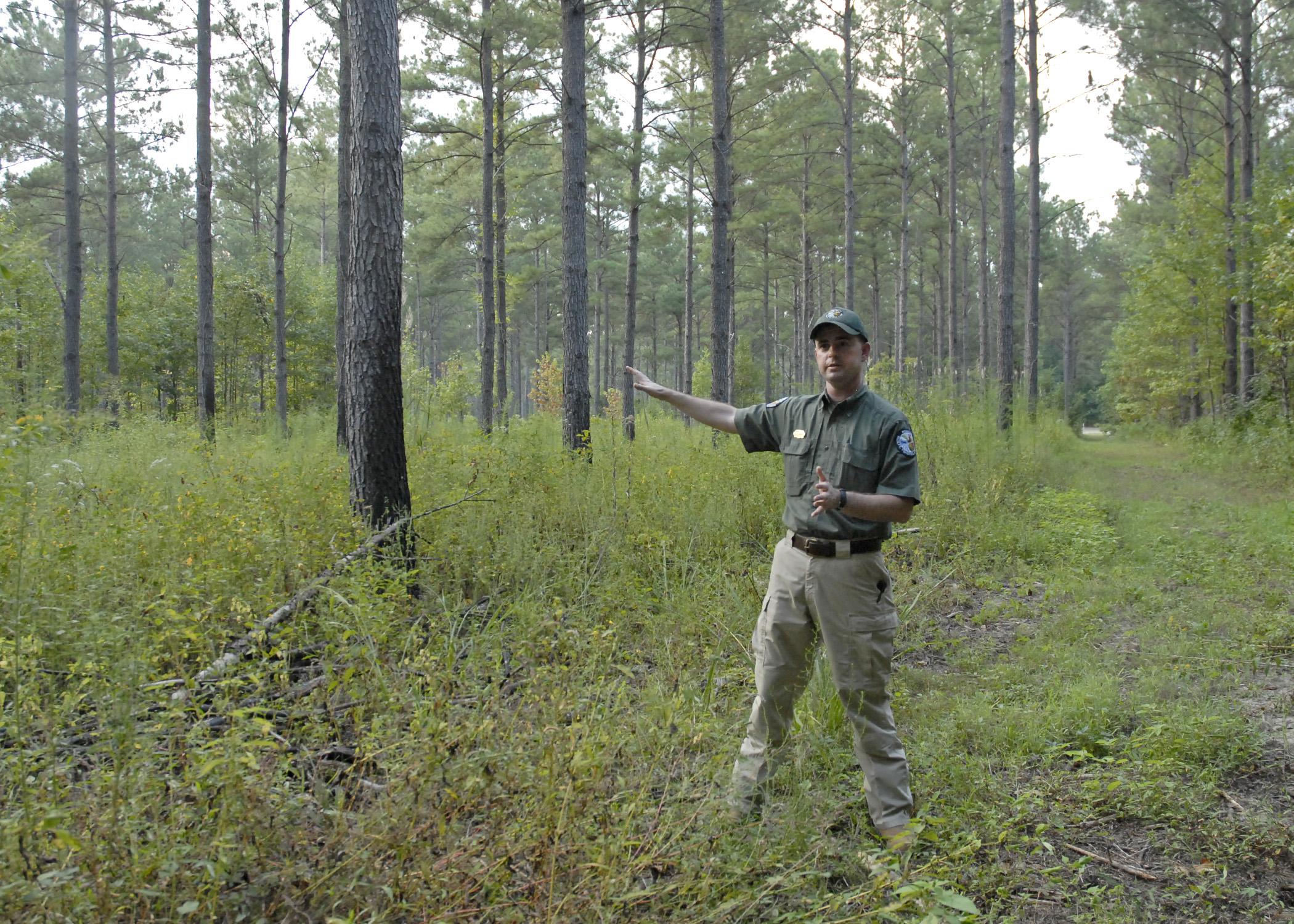 Scott Edwards, a private lands wildlife biologist with the Mississippi Department of Wildlife, Fisheries and Parks, talks about how herbicides and controlled burns can benefit a pine stand on a demonstration farm near Aberdeen, Miss., on Thursday, Sept. 12, 2013. (Photo by MSU Ag Communications/Linda Breazeale)