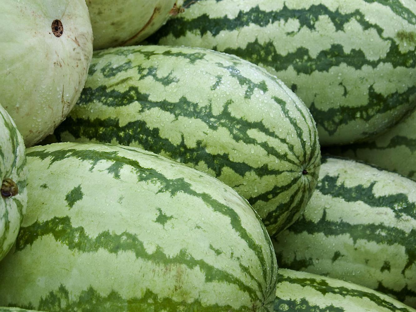 Watermelons at a roadside fruit stand in south Mississippi shed the heavy afternoon rains last Wednesday. Weather conditions during most of the growing season helped the state's fields develop large, flavorful melons this year. (Photo by Scott Corey)