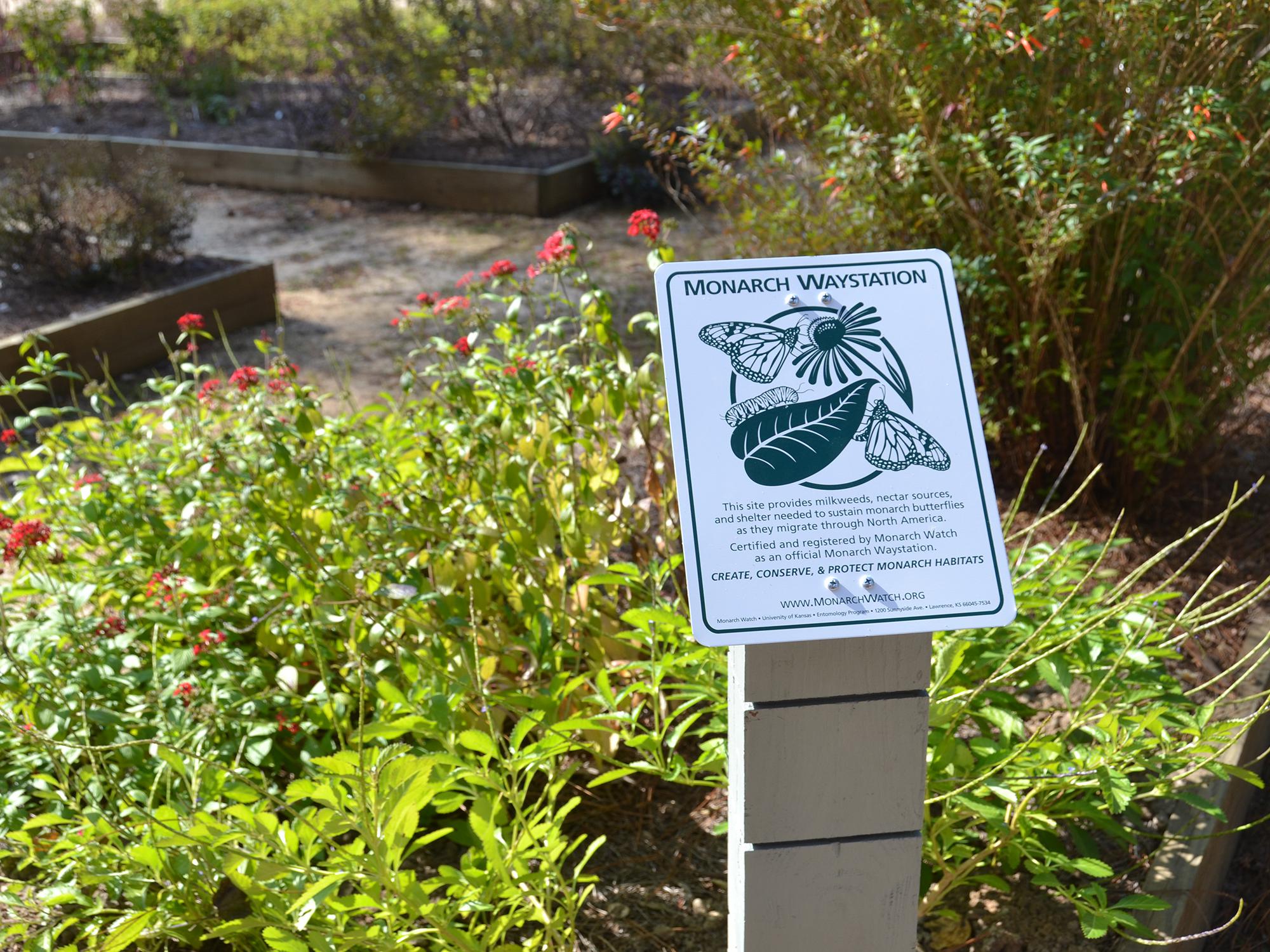  A closeup of the official Monarch Waystation sign is shown in the revitalized children's educational garden at the MSU Crosby Arboretum