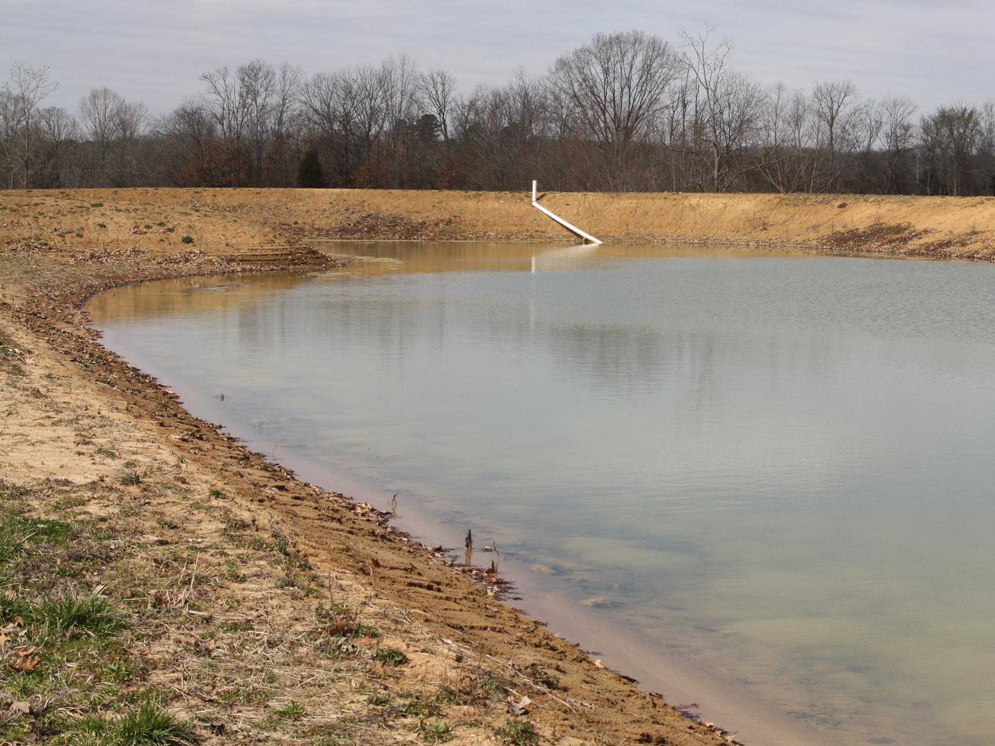 A partially filled pond with minimal plant life visible around the banks.