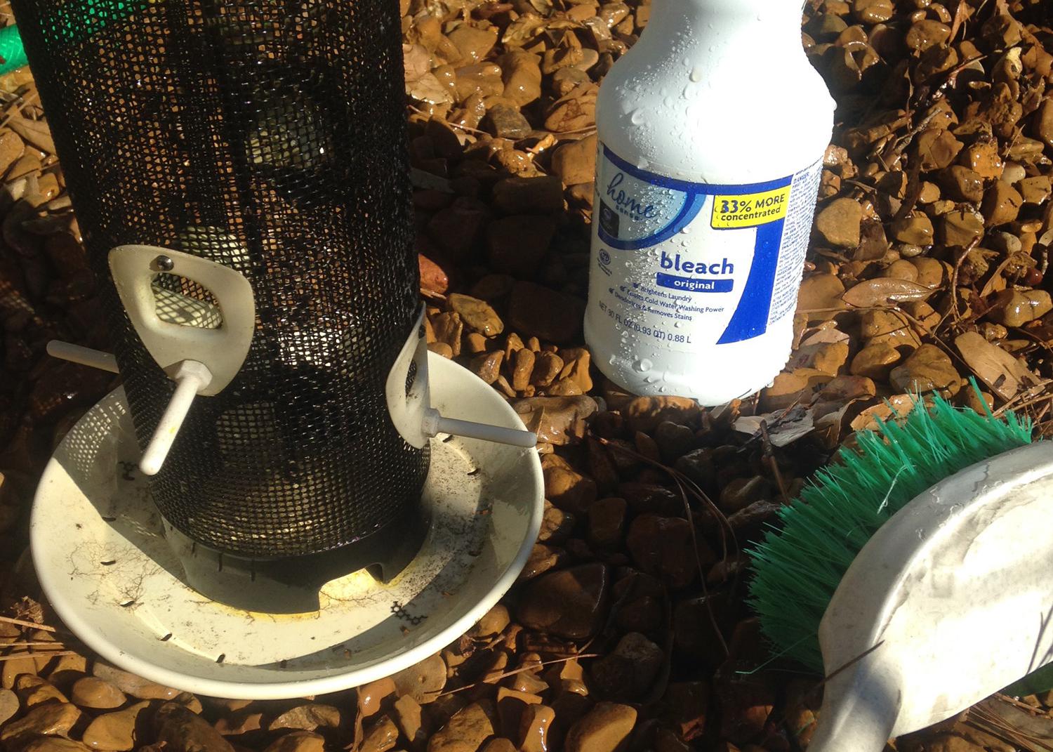 Bird feeder, bottle of bleach and cleaning brush.