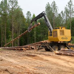 : A piece of logging equipment horizontally holding a tree trunk.