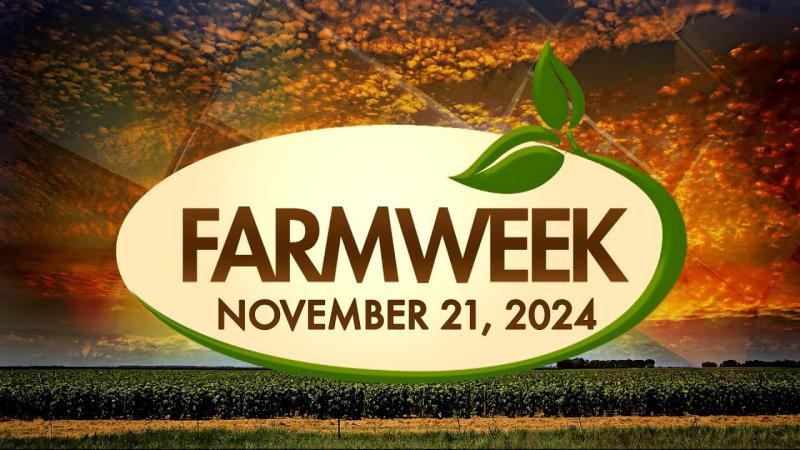 Farmweek | November 21, 2024 | Full Show