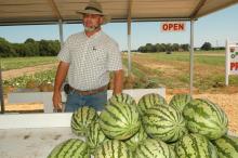 Chickasaw County watermelon grower Jay Schmidt averaged 150 customers a day for his first watermelon crop that sold out by the end of July. (Photos by Patti Drapala)