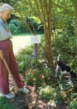 Joanne King, an Adams County Master Gardener and devoted community volunteer, carries along a shovel anytime she shows visitors her many flower beds just in case they see something they would like to have in their own gardens. (Photo by MSU Ag Communications/Susan Collins-Smith)