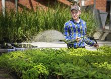 Dallas O'Bryant of West Point, a senior at Mississippi State University, waters seedlings in the greenhouses behind Dorman Hall on March 8, 2013. An agribusiness major and owner of Double D Farms, O'Bryant plans to pursue a career growing produce. (Photo by MSU Ag Communications/Kat Lawrence)