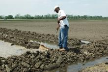 Steven Felston, an agricultural assistant at MSU's Delta Research and Extension Center, is flushing a recently flooded rice field on April 16, 2010. (Photo by Rebekah Ray)