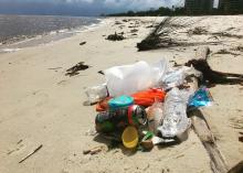 A small assortment of plastic litter clustered beside a piece of driftwood on a deserted beach.