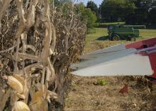 White ends on a piece of red machinery are poised in front of a row of dried, brown corn on a farm with a piece of green farm machinery in the background.