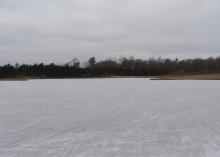 Ice covers a large pond with trees on the far side.