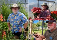 A collage shows a man in three different garden settings.