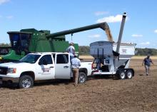 A combine loads soybeans into a trailer in a field.