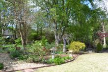 A backyard turns into a wooded garden with shrubs and art pieces.