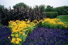 Raised bed gardening puts the joy back in planting flowers and shrubs.