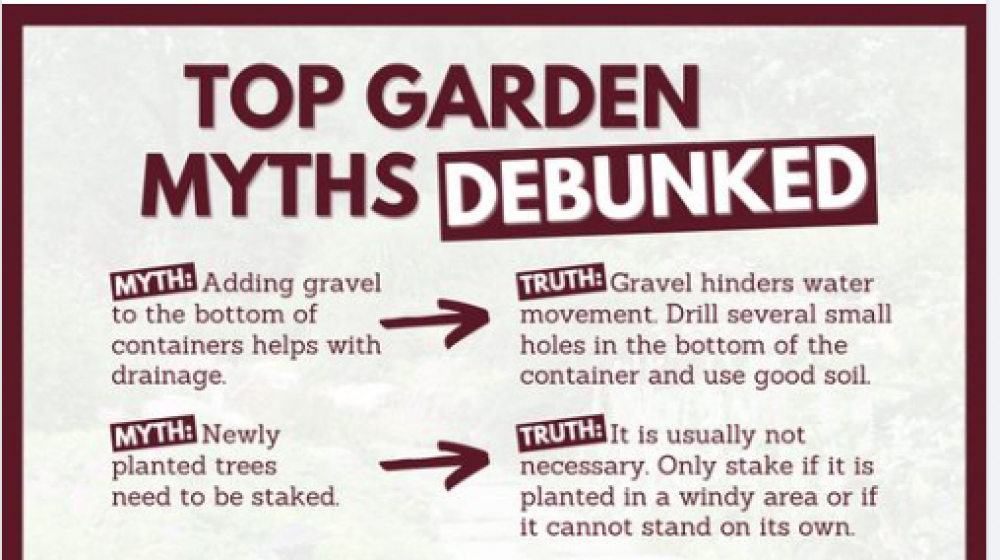 A Facebook post showing the top garden myths and truths.