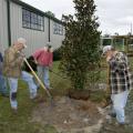 Lincoln County Master Gardener Homer Richardson, Karen Peresich and Steve Edge of Gautier plant trees at Pineville Elementary on Menge Road in Pass Christian as part of the Mississippi Master Gardeners Operation Rejuvenation on the Gulf Coast.  (Photo By Marco Nicovich)