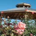 Among the garden's features are a central gazebo, raised brick planting beds, paved walkways, an arched bridge, three arbors, and an ornate brick and steel fence. (Photo by Bob Ratliff)