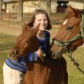 Dr. Joy Mordecai, an equine reproduction resident at Mississippi State University's College of Veterinary Medicine, holds Freddie Mac, one of the twin foals from a champion cutting horse, while its surrogate mother keeps a close eye on her colt. (Photo by Linda Breazeale)