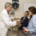 Dr. Joey Burt shows students LeeAnne Rich, center, and Marla Waldrop that proper, gentle handling during an examination can soothe the patient and the pet owner. (Photo by Tom Thompson)