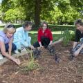 Lowndes County Master Gardeners, from left, Jean Wilson, Mary Faglie, Jennifer Duzan and Nell Thomas examine some of the herbs growing in the garden they renovated for the Culinary Institute at Mississippi University for Women. (Photo by Scott Corey)