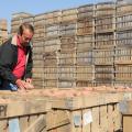 Bill Wooten, owner of Missiana Produce in Bruce, prepares sweet potatoes for shipment. He is using the MarketMaker program to help find new ways to market his products. (Photo by Kat Lawrence)