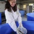 Dr. Lora Petrie-Hanson, an associate professor of immunology in MSU's College of Veterinary Medicine, examines a channel catfish raised for aquaculture disease research in the university's fish hatchery. (Photo by Tom Thompson)