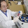 Henry Wan uses a centrifuge to isolate the flu viruses he researches. Wan and his colleagues discovered the first molecular evidence linking live poultry markets in China to human H5N1 avian influenza. (Photo by MSU College of Veterinary Medicine/Tom Thompson)