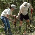 Tara Raynes (left) and Elaine Saxton were two of 24 volunteers from New South Access and Environmental Solutions who planted 2,000 Swamp Gum tree seedlings at the Crosby Arboretum's Gum Pond educational exhibit. The trees were donated by the company and planted by employees and their family members. (Photo by Susan Collins-Smith/MSU Ag Communications)