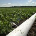 Winter is the perfect time to implement changes to make furrow irrigation more efficient. Mississippi State University researchers are encouraging the use of computerized hole selection tools to specify the size of hole that should be punched in polypipe to allow the correct amount of water to flow down each furrow (Photo by MSU Ag Communications/File Photo)