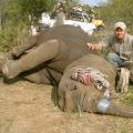 While in South Africa last summer working on animal reserves, Mississippi State University graduate student Wes Gentry of Pontotoc developed a passion for the work he did with the Rhino Rescue Project. He helped inject the horns of sedated rhinos with pink liquid dyes as part of a program to prevent poaching. (Submitted Photo)