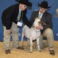 Jacob Owen, left, and his older brother, Tyler, prepare to enter the arena for the Dixie National Sale of Junior Champions with their market goat, Splits, on Feb. 12, 2015, in Jackson, Mississippi. (Photo by MSU Ag Communications/Kevin Hudson)