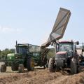 Freshly harvested peanuts are unloaded from a peanut combine on a farm in the Lackey Community near Aberdeen. (Photo by Scott Corey)