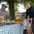 An upcoming Farm Fresh and Healthy Tour in and around Starkville, Mississippi, will show participants where their food comes from before it ends up at a local market. Here, Debra Shafer and her grandson Sam Shafer of Starkville browse produce at the Starkville Farmers Market May 2, 2017. (Photo by MSU Extension Service/Kevin Hudson)