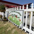 Colorful flowers are planted next to a sign at the entrance of the North Bay Elementary School garden.