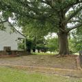 A large tree looms over a white house and a brick patio area.