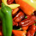 A slender, green pepper sits atop a collection of yellow, red and orange peppers.