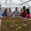 A group gathers around a table-top planter growing small plants.