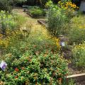 A flower garden with raised beds.