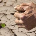 Hands clasped together over a dry field.