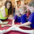 The Mississippi State University College of Veterinary Open House will welcome preregistered school groups April 4 and the general public April 5. Students can enjoy hands-on activities and demonstrations. (Photo by MSU College of Veterinary Medicine/Tom Thompson)