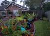  Several blue containers in this colorful landscape garden are blown over after heavy storm winds.