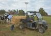 Young man strains to handle a bale of hay at the back of a farm utility vehicle in a pasture with black and white dairy heifers clustered behind and watching.