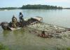 Two men in a boat on a pond draw in a large net full of active fish.