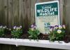 A sign sits behind a row of small plants.