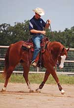 Man on a horse